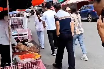 賈乃亮帶甜馨回老家,打扮樸素接地氣,發現被拍後扭頭就走