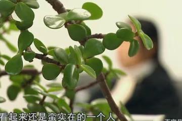 4年結了4婚,男子詐騙3任妻子百萬餘元,調查發現錢都給了第一任