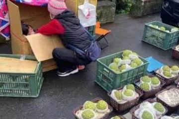 獨自擺攤賣釋迦!媽頂寒風冒雨撐生計,驚見她「往紙箱塞奶瓶」掀開一看:讓人鼻酸