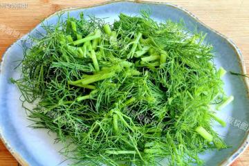這菜，夏天使勁吃，一祛濕、二健脾、三抗菌、四通便，不懂吃真虧