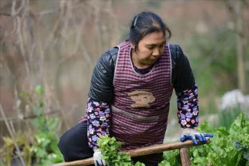 告誡大家：做著一份有社保的工作，哪怕工資才2000都不要輕易辭職