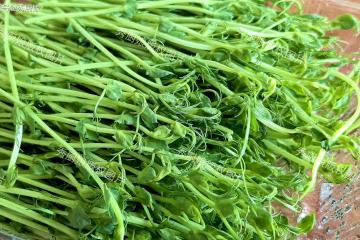夏天這菜使勁吃，3塊一把的「菜中人參」，隨手一炒，營養又好吃