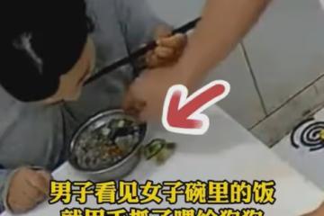 女子離婚沒娘家跟前夫同住,吃飯被前夫抓食物喂狗,推開碗更窒息