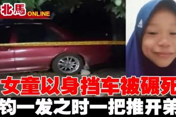 女童以身擋車被碾死　小死者千鈞一髮之時一把推開弟弟