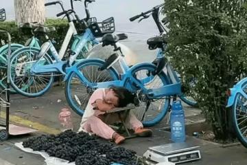 8歲女童暑假「擺攤賣葡萄」無人捧場！哽咽「我沒爸媽…」好心大叔霸氣全包