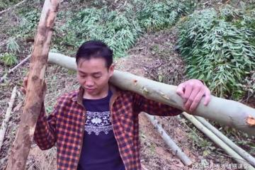 給舅舅打工3年 沒要過一分錢，三年後，舅舅突然給了我一個信封