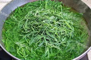 7月抓緊吃它，一清肺，二護眼，三祛濕、四通便，卻被很多人當草
