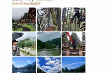 蔣勤勤曬出遊照，小兒子玩穿越叢林，陳建斌緊隨其後保護超有愛