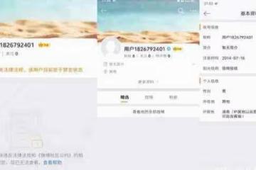 王思聰尋釁滋事被抓是真的嗎 他怎麼了為什麼微博被封號了