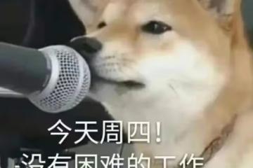 大家都盯著她這張臉了?