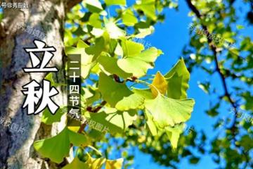 8月7日立秋不一般，建議大家「咬秋」，多吃「3寶」，全家都受益