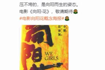 趙麗穎近期官宣了新電影《向陽·花》,引發了廣泛關注。