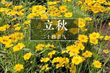 8月7日立秋！建議「少吃2瓜，多吃3白」，順應節氣而食，健康度秋