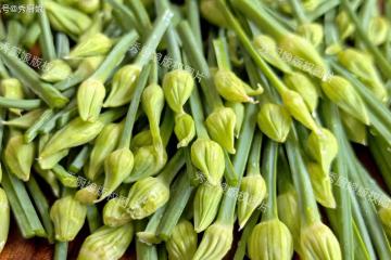 8月,遇到這菜抓緊吃!鮮嫩營養,全身是寶,季節性強,錯過等1年