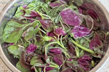黃瓜、苦瓜靠邊站,8月這菜使勁吃!補血補鈣,養肝祛濕又通便!