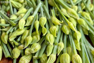8月,遇到這菜抓緊吃!鮮嫩營養,全身是寶,食用期短,錯過等1年