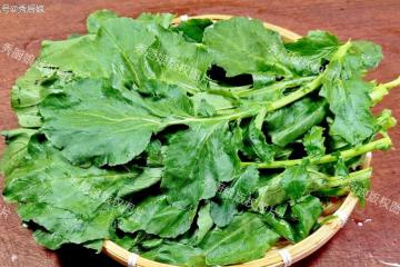 立秋後使勁吃這菜，一潤肺，二護眼，三通便，排毒養顏，別不懂吃