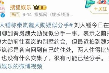 秦嵐魏大勛分手:姐很好,勿cue
