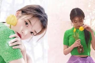 N號房事件連累IU、允兒被網暴，雪莉才死半年，「雪花們」又復活