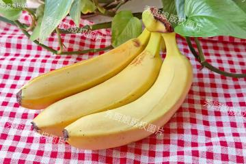 「推糞猛將」不是香蕉，而是它，每天堅持吃，清腸排毒，一身輕鬆