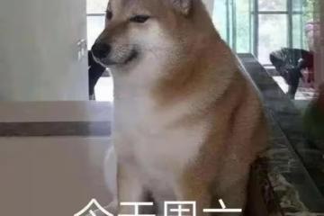 被記者圍攻了？
