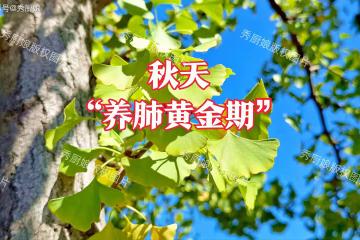 立秋後是「養肺黃金期」！建議多多吃這4種菜，好處多得很！