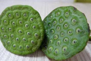 沒想到蓮蓬子也這麼好吃,每一口都爆開,香甜酥脆,吃起來真不錯