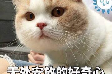 同是絕色，熱巴成爽文女主，娜扎卻只是一個美女…到底差在哪？