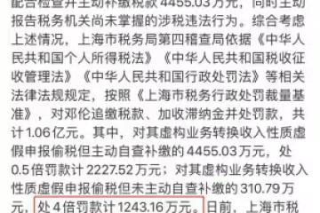 逮了冰爽薇，還有更多的鄧倫！明星到底為什麼能一個接一個逃稅？