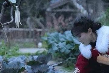 李子柒停更兩年後首次露面，少女變大媽網友直呼不敢認連她也淪為資本的犧牲品