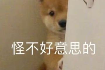 五花八門丑「鼻孔」PK,有人可插蔥,有人小到看不見,有人成隧道