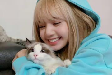 BLACKPINK出道後回歸少,品牌價值卻很高,這樣的情況並不難理解
