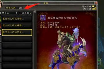 魔獸TBC：土豪自稱休閒玩家，稀有道具拿齊，打開背包「秀一臉」
