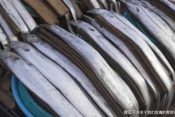 買帶魚，切記區分「黑眼睛」和「黃眼睛」，區別不小，搞懂再花錢