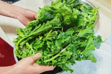 這3種菜,殺菌抗炎,養肝排毒,幫助提高免疫力!秋冬兩季要多吃