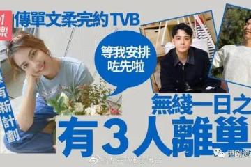 又有小花要離巢!TVB視帝老婆傳完約有新開始