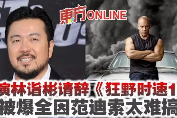 導演林詣彬請辭《狂野時速10》　被爆全因范迪索太難搞