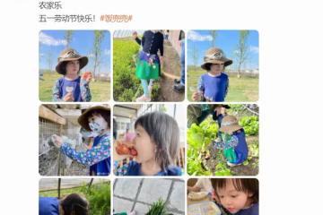 樊少皇一家定居內地，假期到郊外體驗農家樂，4歲女兒蹲地摘菜