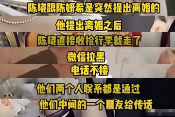 是什麼原因讓陳曉不想見陳妍希連兒子都不想見？評論區給出了答案