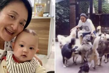 「救70隻流浪動物」傾家蕩產！譚艾珍「為省錢行善搬山區」住鐵皮屋，先生「一句遺言」讓她幡然醒悟：要當討喜老人家