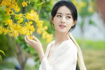 趙麗穎逆風翻盤，白玉蘭後再奪三獎，85花格局生變引熱議