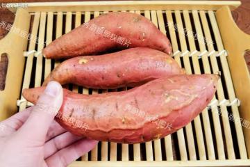 紅薯也有禁忌？提醒：二者萬不可同吃，吃紅薯的禁忌要牢記！