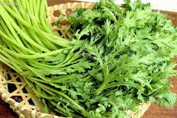 秋天這菜使勁吃，一補鉀硒、二排毒、三潤肺，四護肝，別不懂吃