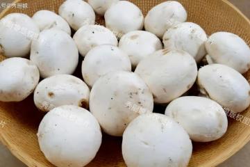 秋天這菜使勁吃，一補鉀硒、二排毒、三護肝、四強免疫，別不懂吃