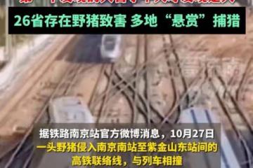 25歲機械師遭高鐵撞擊身亡後續！好友曬照悼念：他是家中獨子未婚