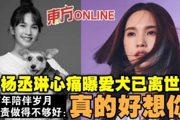 楊丞琳心痛曝愛犬已離世 17年歲月自責做得不夠好:真的好想你