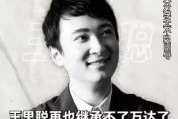 給王健林點贊 !曝王思聰痛失繼承權,黃一鳴直播透露曾愛過崇拜過
