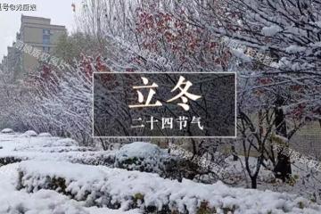 老人說「立冬吃3寶,不把醫生找」,這「3寶」是指啥?怎麼做好吃