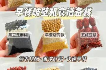 ‼️懶人必備早餐豆漿包/破壁機營養食譜