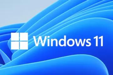 Win11預覽更新導致部分微軟商店應用無法運行